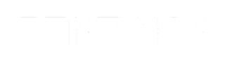 Benzinga logo white.