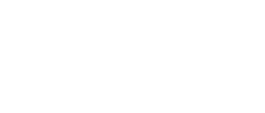 big new network logo white.