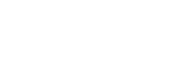 msn logo white.